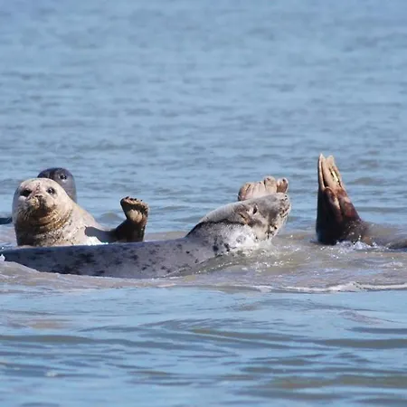 Feriehus Maison Cosy Au Coeur D'etaples Sur Classee De Tourisme 3 Etoiles
